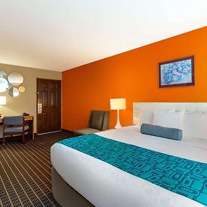 King Room Pet Friendly or Non-Smoking